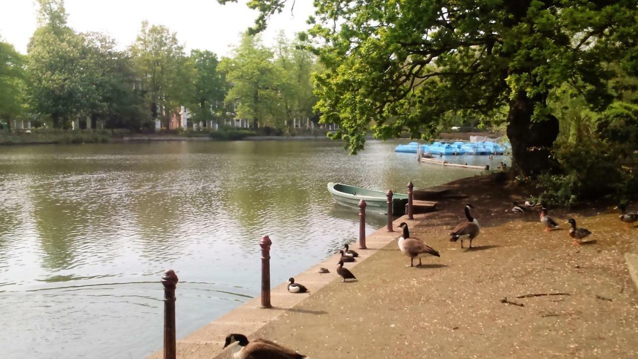 Crystal Palace B&B Londres Extérieur photo